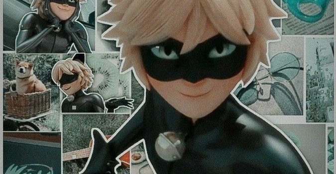 675x1200 Chat Noir Wallpapers