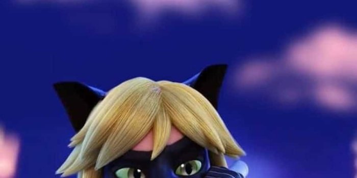 900x1600 Cat Noir, Bravely Fighting for Justice