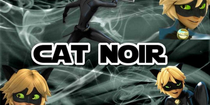 1024x768 Cat Noir Wallpapers Wallpaper