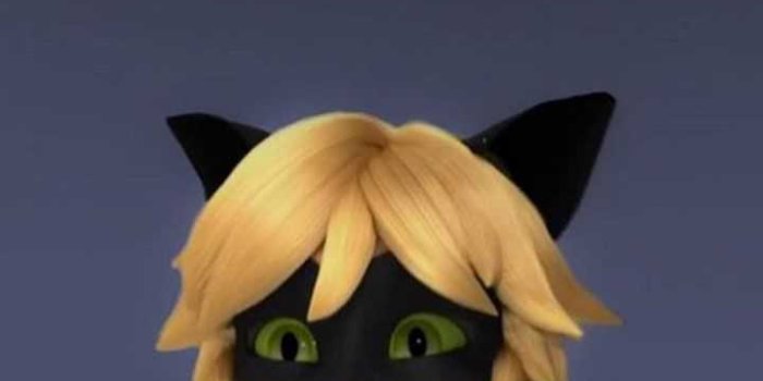 720x1280 Cat Noir Wallpaper | WhatsPaper