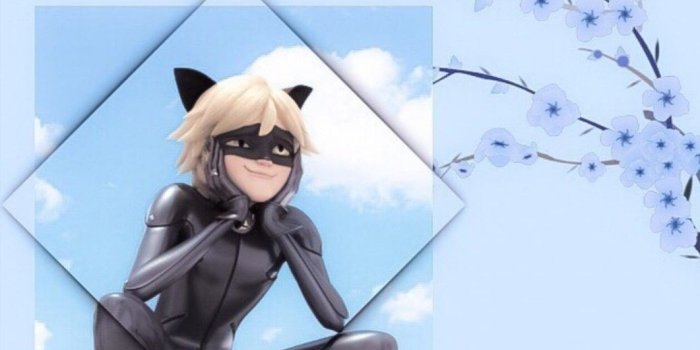 1061x1886 Chat Noir Wallpapers