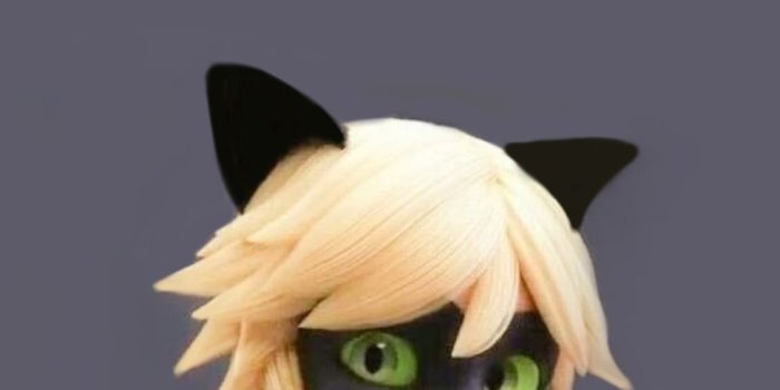 1125x2436 ladybug cat noir iPhone