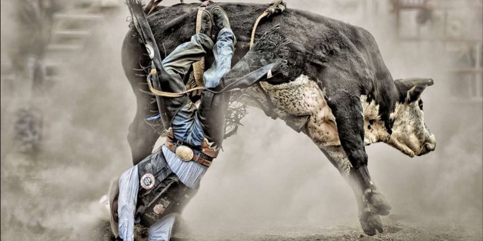 1440x900 Rodeo - Desktop Nexus Wallpapers | Bull