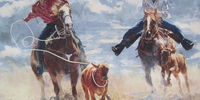 1600x1264 COWBOYS CALF ROPING RODEO WESTERN