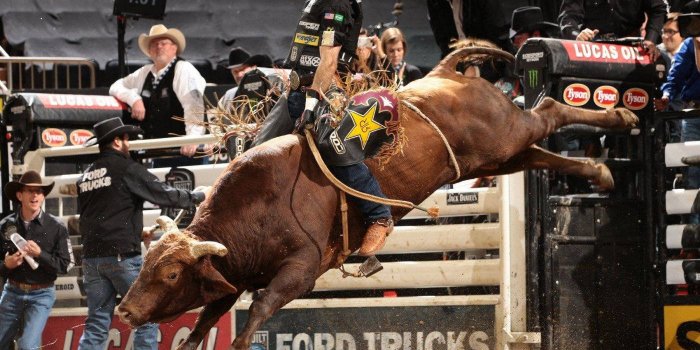 1400x1120 100+] Bull Riding Wallpapers