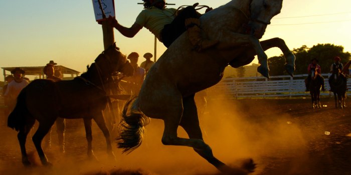 2401x1756 Sports Rodeo HD Wallpaper