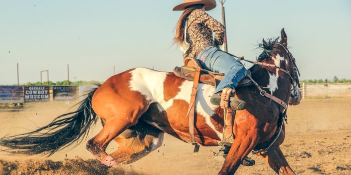 3840x2160 Rodeo Wallpapers 31327 7911435 - Paso