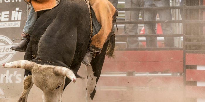 4006x6000 Rodeo Photos, Download The BEST Free