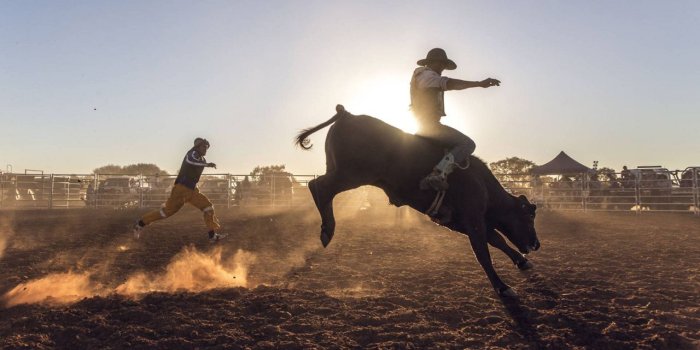 1280x720 San Antonio Stock Show & Rodeo 2024