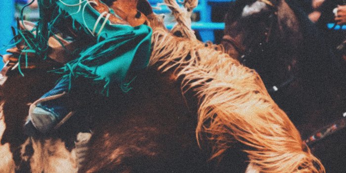 1134x1826 Could you do rodeo/western/equestrian