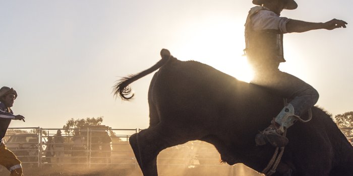 5200x7801 Kuna Rodeo cancelled due to death threats