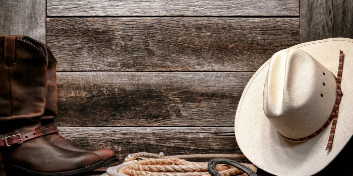 1920x1200 Sports Rodeo HD Wallpaper