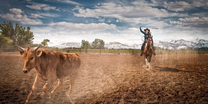 1366x768 100+] Rodeo Wallpapers | Wallpapers.com