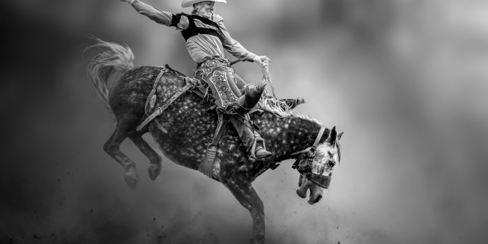 2500x1895 Rodeo Wallpapers (29+ images inside)