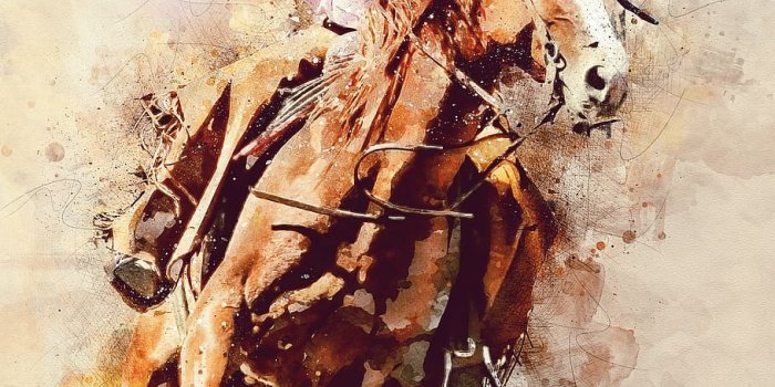 910x1274 Women Rodeo Wallpapers