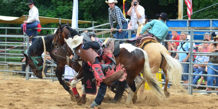 3519x2331 desktop wallpaper: Sports, Horse, Rodeo