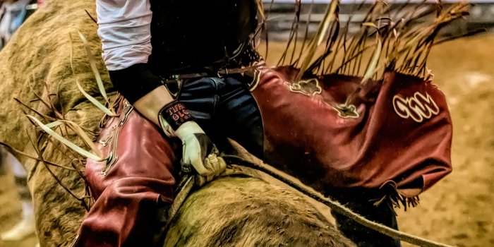 1012x1280 50+ Free Bull Rider & Rodeo Images