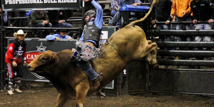 1920x1287 100+] Rodeo Wallpapers | Wallpapers.com