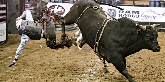 1280x735 80+ Free Bull Riding & Rodeo Photos