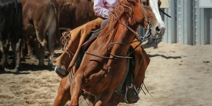 1932x2084 Rodeo Photos, Download The BEST Free