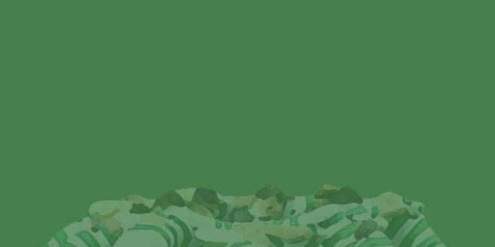 720x1280 Download Celtic Fc Wallpaper