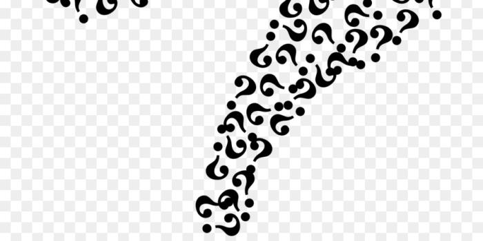 900x1500 Black Line Background png download