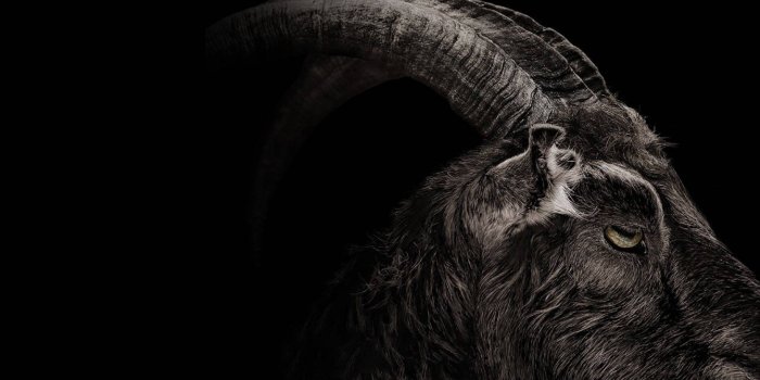 1920x1080 Download Goat In The Dark Wallpaper