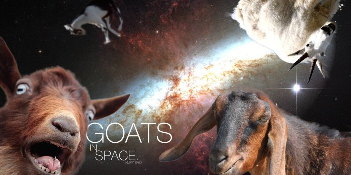 1920x1200 Goats in Space? Yeah. [1920x1200] : r