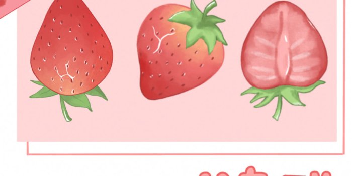 887x1920 STRAWBERRY WALLPAPERS