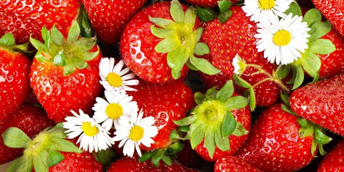 1920x1200 Food Strawberry HD Wallpaper