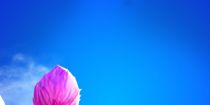 1080x1920 My Singing Monsters Wallpapers - Top 20