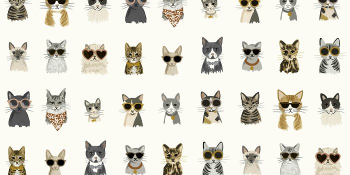 1200x1067 Rifle Paper Co. Cool Cats Peel & Stick