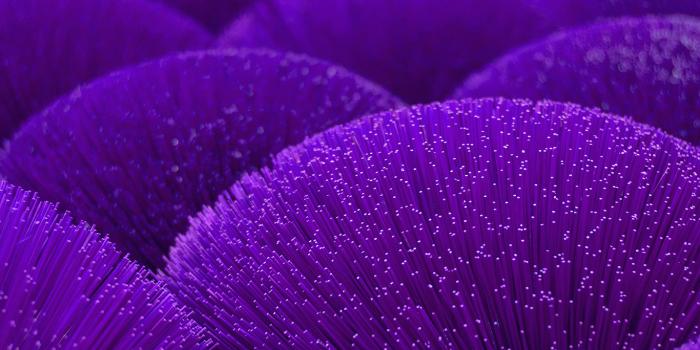 1366x768 vz38-light-dot-digital-purple-line