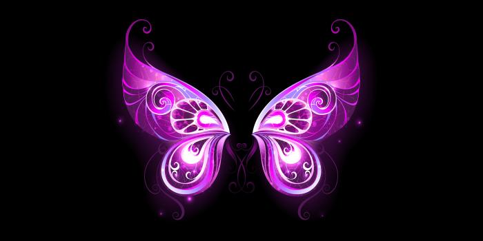 2560x1440 Purple Fairy Wings 2K Wallpaper | 2560