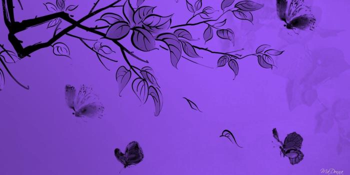 1920x1080 Cute Purple Desktop Wallpapers