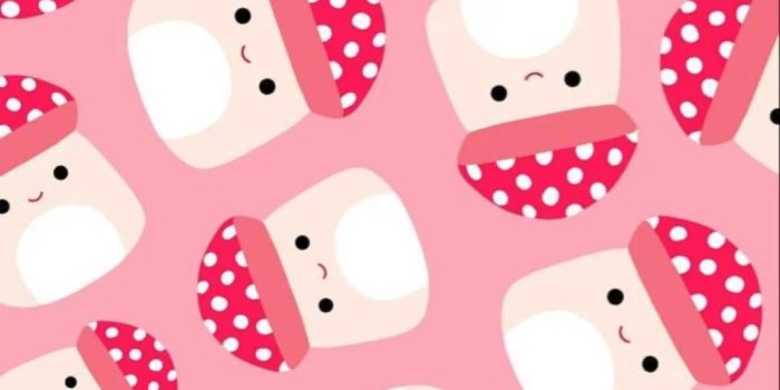 1080x1920 Cute Squishmallows Wallpapers