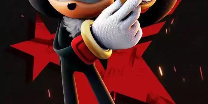 696x1200 Shadow The Hedgehog Wallpaper Browse