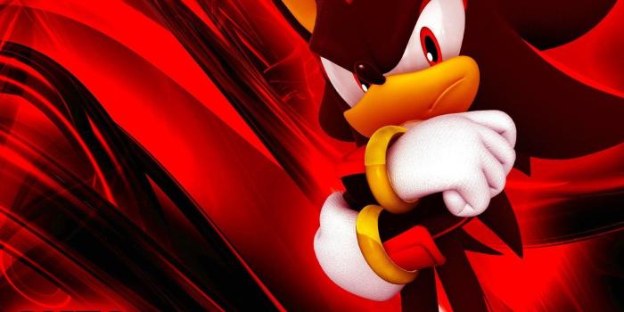 1920x1200 The Hedgehog Wallpapers