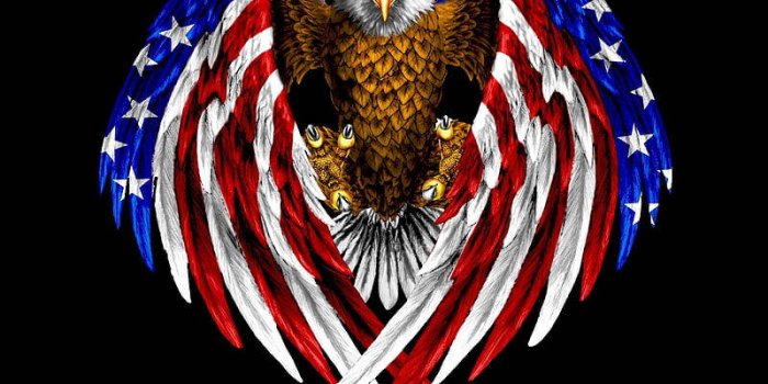 800x1422 Download USA Flag On Eagle Wallpaper