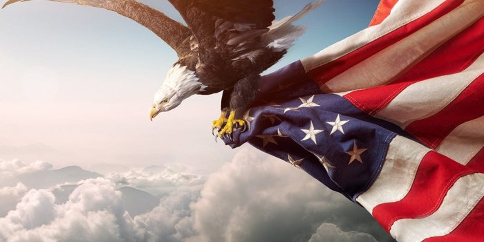 1155x750 USA Eagle Flag Wall Murals | Ever