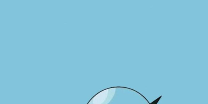 1080x1920 Squirtle Wallpapers - Top 20 Best