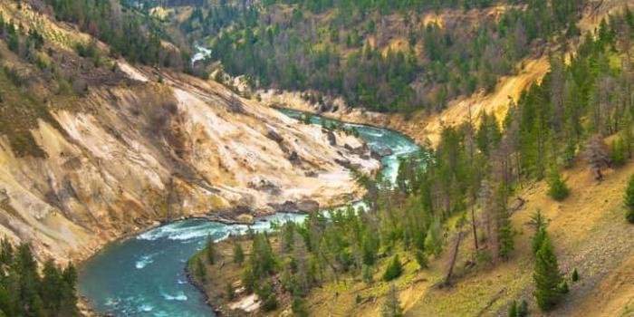 720x1280 Yellowstone National Park Wallpaper