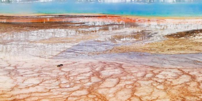 1080x1920 Yellowstone National Park Wallpaper