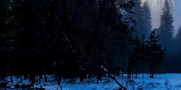 1125x2436 1125x2436 Yellowstone National Park HD