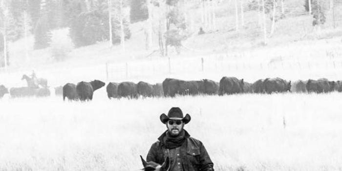 1185x1920 Grayscale Rip Wheeler Wallpaper