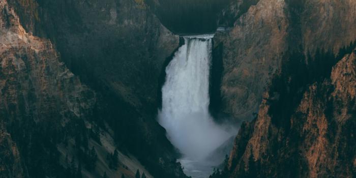 1000x1500 100+ Yellowstone National Park Pictures