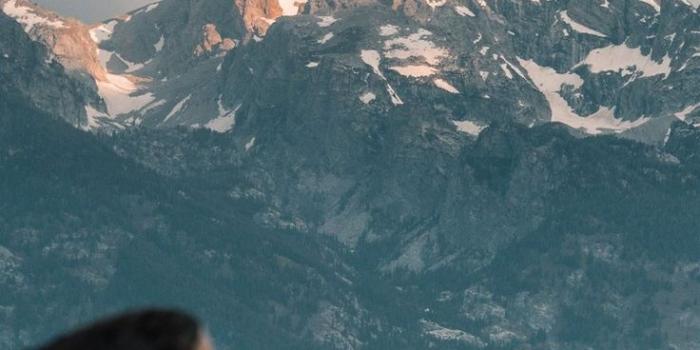 736x1593 Yellowstone National Park