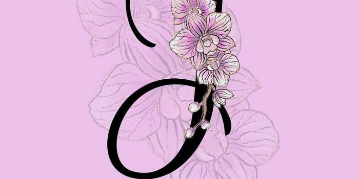 800x1422 Artistic Cursive Letter J Wallpaper