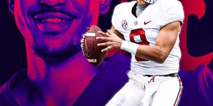900x1600 Alabama crimson tide football wallpaper