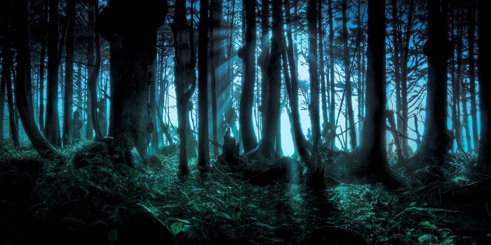 1920x1200 Imgur | Forest wallpaper, Fantasy